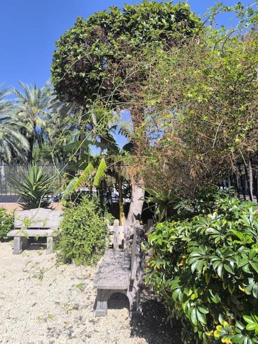Apartment Playa, Piscina, Terraza, Parking *