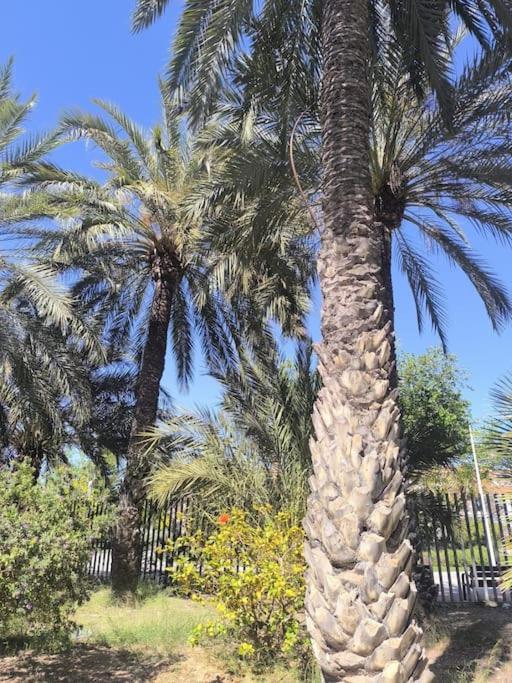 Apartment Playa, Piscina, Terraza, Parking *